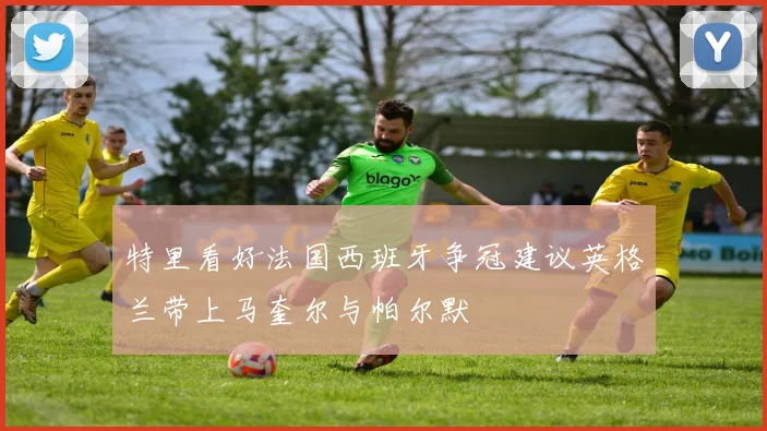 特里看好法国西班牙争冠建议英格兰带上马奎尔与帕尔默